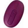 Вибростимулятор со встроенным аккумулятором SVAKOM ELVA SCB-02-VLT